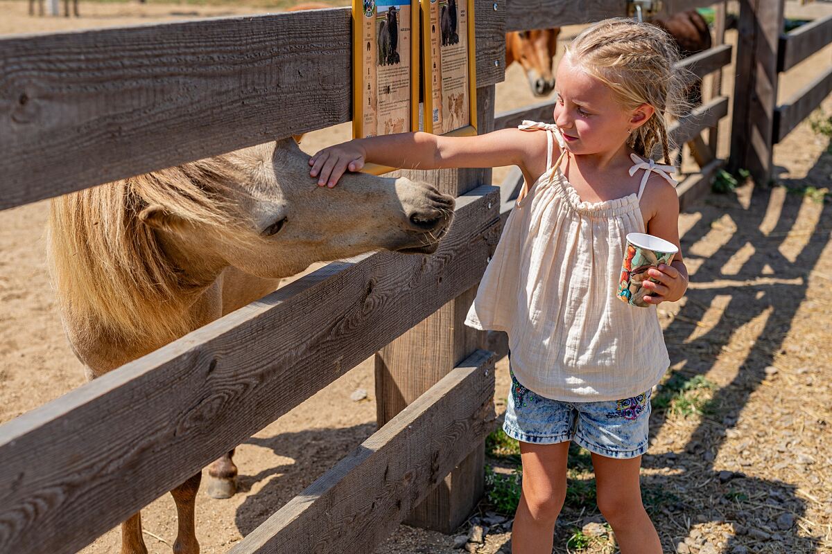 Family-Time in den Osterferien   Merlins Farm