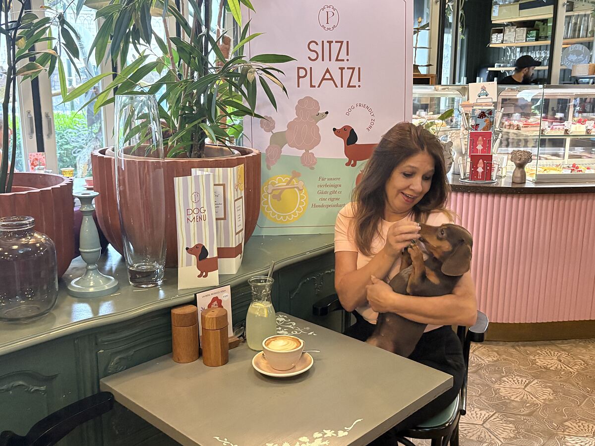 Neue Hundekarte im Ponykarussell