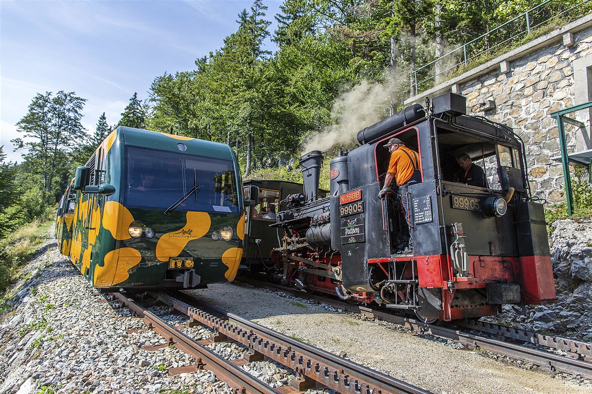 Schneebergbahn - Nostalgiedampfzug und Salamander