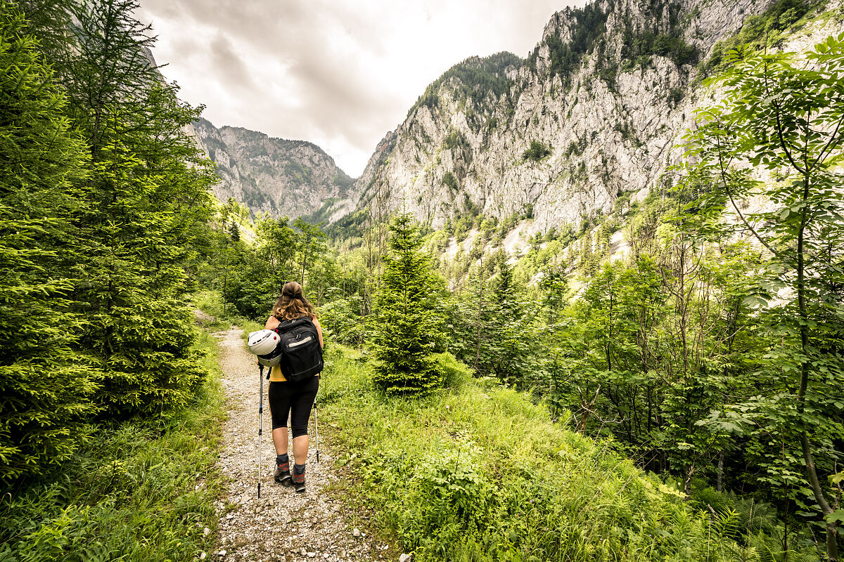 Wiener Alpen in Niederösterreich