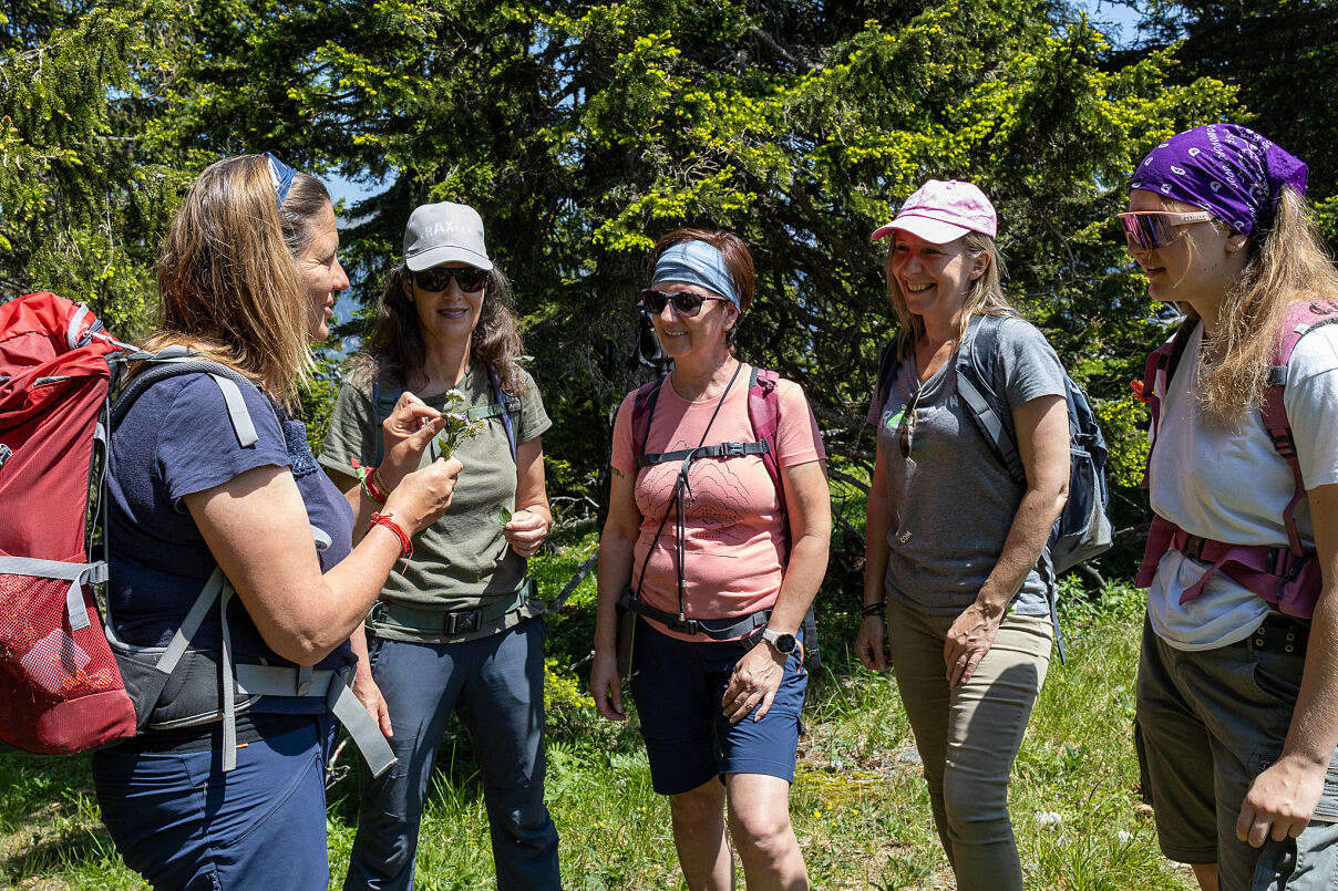 Kräuterwanderungen