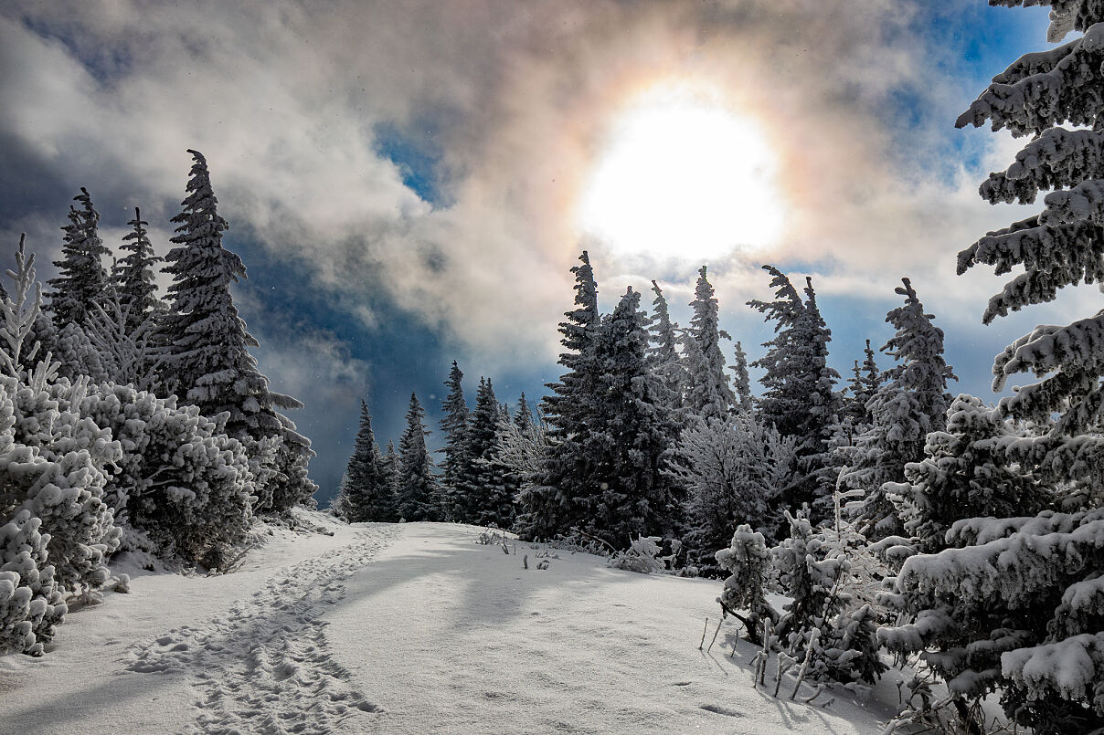 Wintergaudi auf der Raxalpe