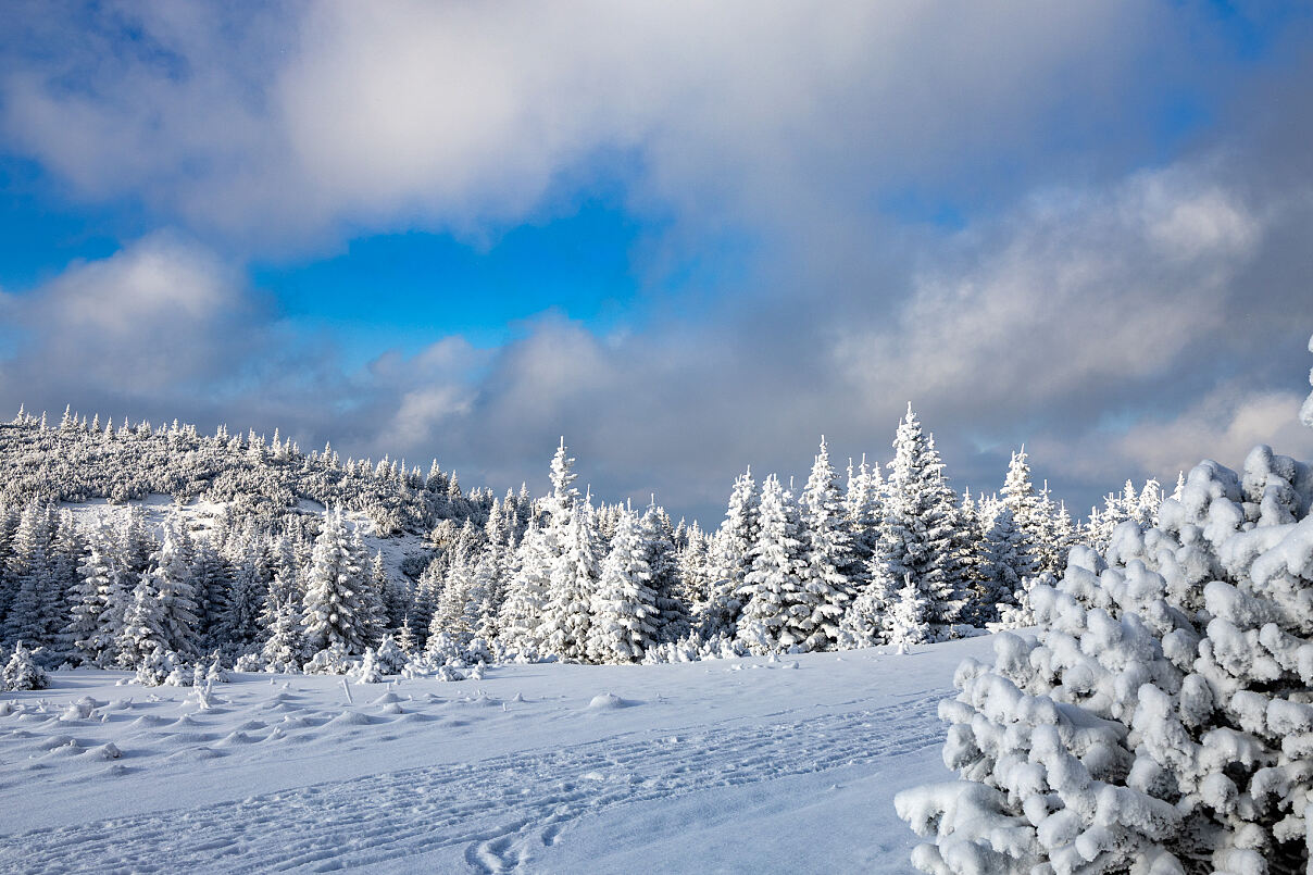 Wintergaudi auf der Raxalpe